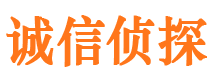 肇庆市私家侦探